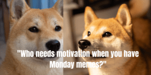 Monday Workout Memes