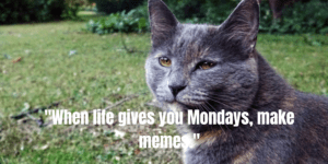 Monday Memo