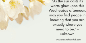 Good Afternoon Wednesday Quotes and Images