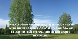 Wednesday Afternoon Greetings