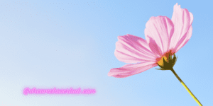 Good Morning Wednesday Picture Quotes