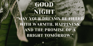 Good Night Blessings Images