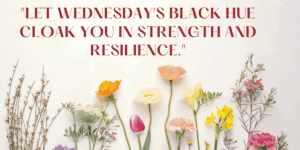 Good Morning Wednesday Black Images