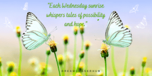 Good Morning Wednesday Black Images