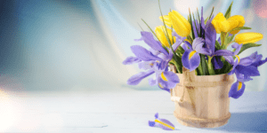 Good Afternoon Wednesday Quotes and Images