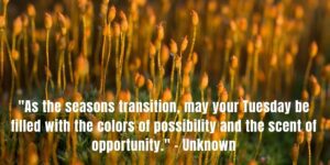 Good Morning Happy Tuesday Fall Images