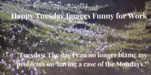 Happy Tuesday Images Funny for Work
