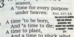 Tuesday Morning Scripture Images