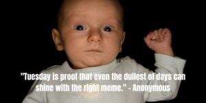 Tuesday Memes