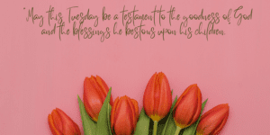 Tuesday Blessings and Prayers Images and Quotes