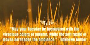 Good Morning Happy Tuesday Fall Images