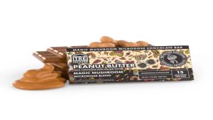 Mushroom Chocolate