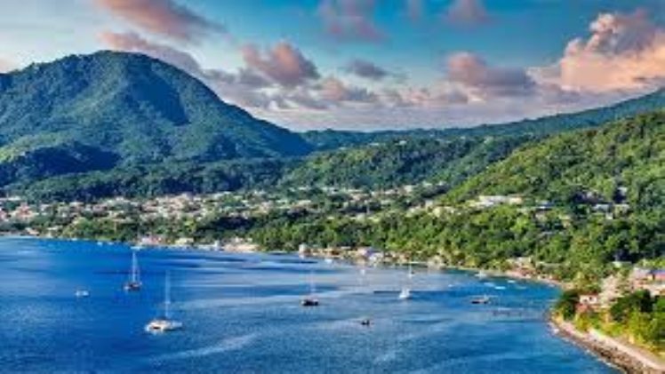 Relocate to Dominica