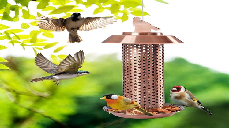 Bird Feeders