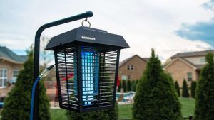 Bug Zappers