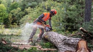 Husqvarna Chainsaws