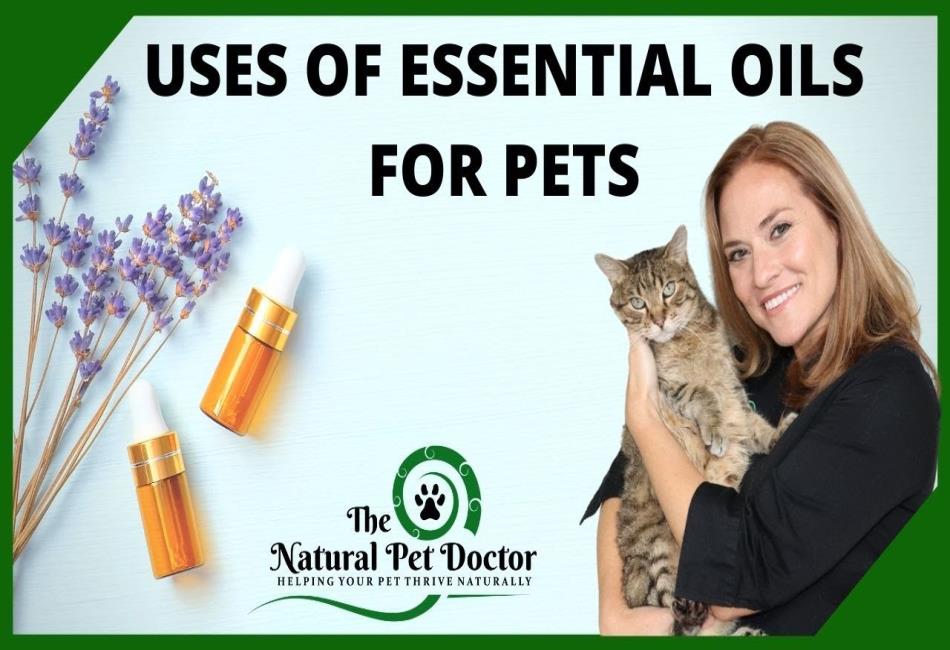Oils for Cat