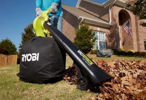 Leaf Vacuum