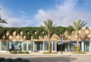 Sustainable Landscaping