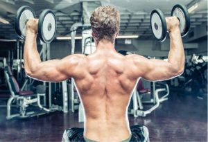 Building Muscle