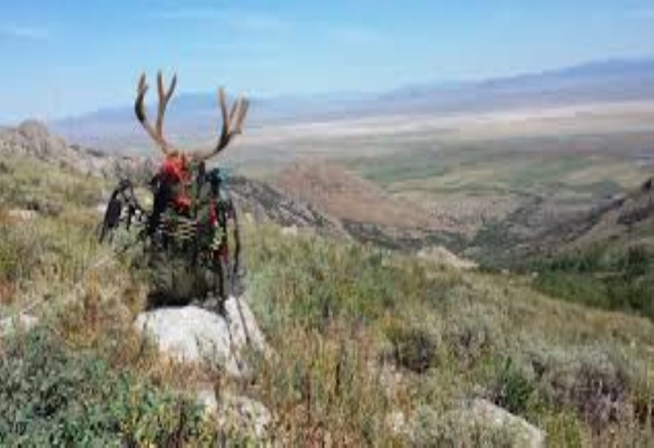 Hunting Tools Responsibly