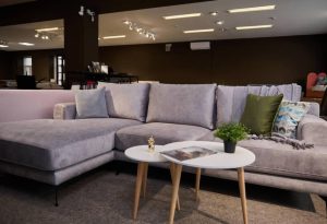 Sofa Shop Experience