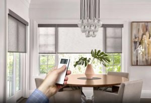 Window Treatments