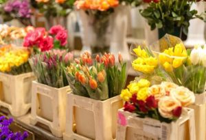 Flower Stand