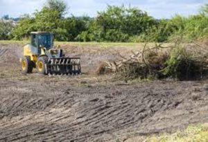 Brush Clearing