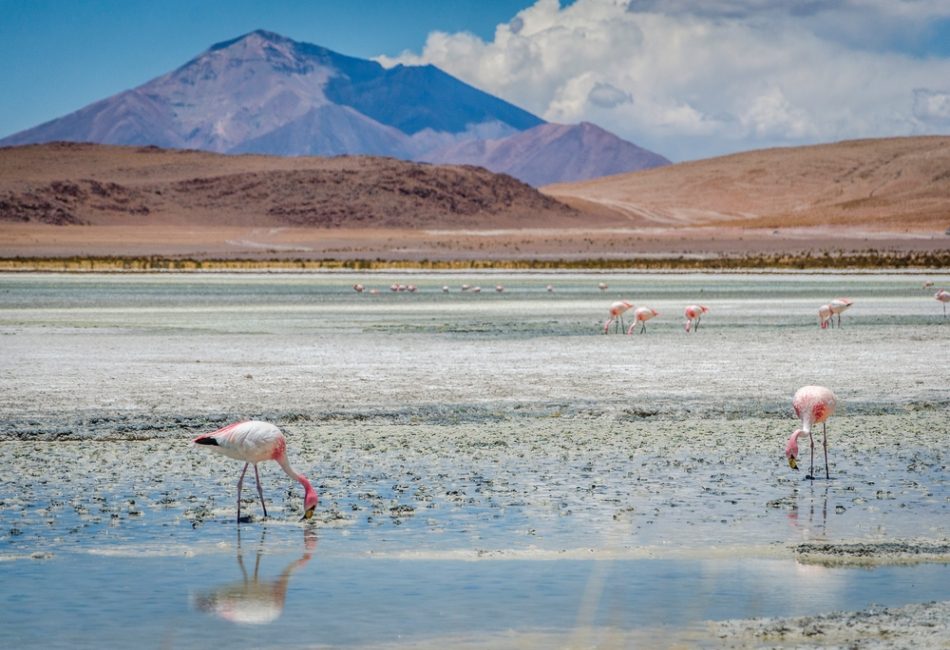 Vacation Destinations