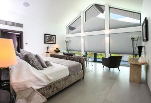 Window Blinds