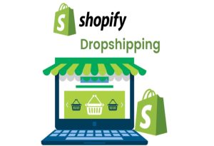Dropshipping Business