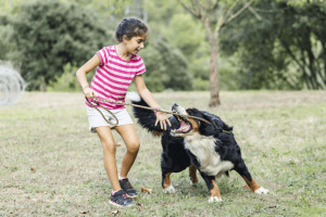 Bitten by a Dog