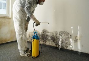 Handling Excess Moisture