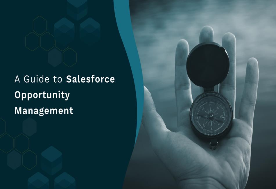 SalesForce Opportunity