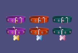 Dog collar, Cat collar