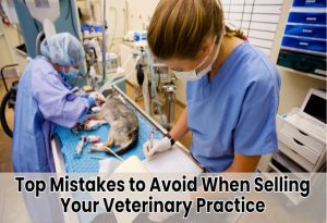 Veterinary Practice