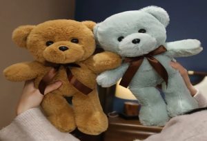 Personalized Teddy