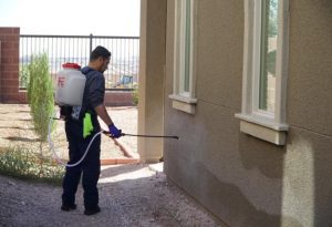Pest Control Strategies