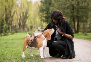 Dog Training