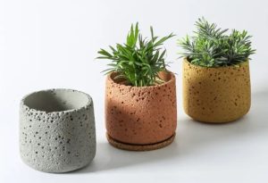 Succulent Pots