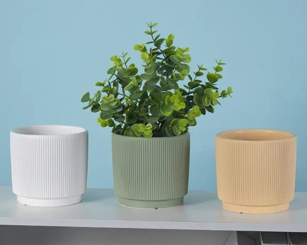 The Ultimate Guide to Succulent Pots: Material, Size & More ...