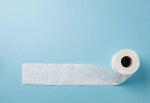 Toilet Paper Roll