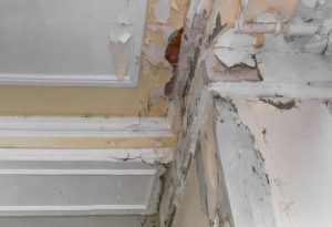 Water Damage