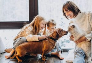 Pet Relocation