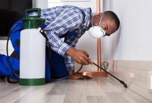 Pest Control