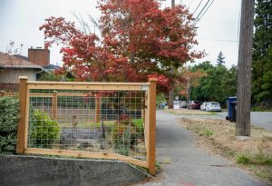 Hog Wire Fence