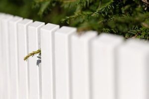 Vinyl Fences