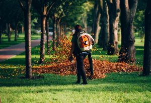 Outdoor Pest Control