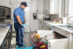 Plumbers